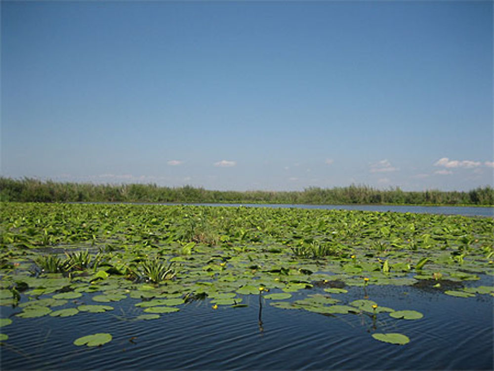 Lac du Delta