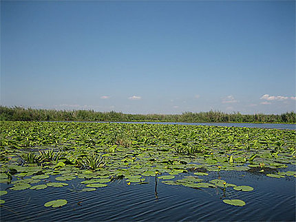 Lac du Delta