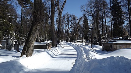Lviv cemetery