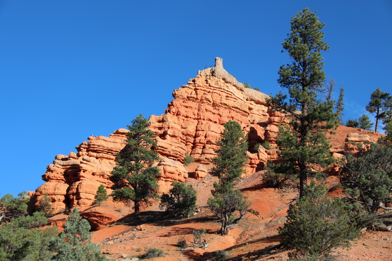 Red Canyon Red Canyon