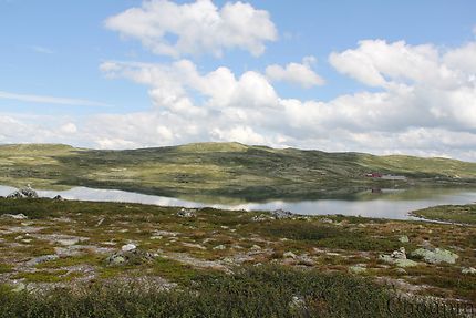 Plateau du Hardangervidda 