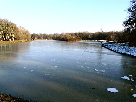 Etang de la Moutonnerie Etang de la Moutonnerie