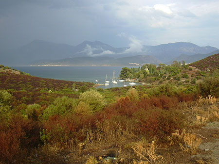 Petit port Petit port