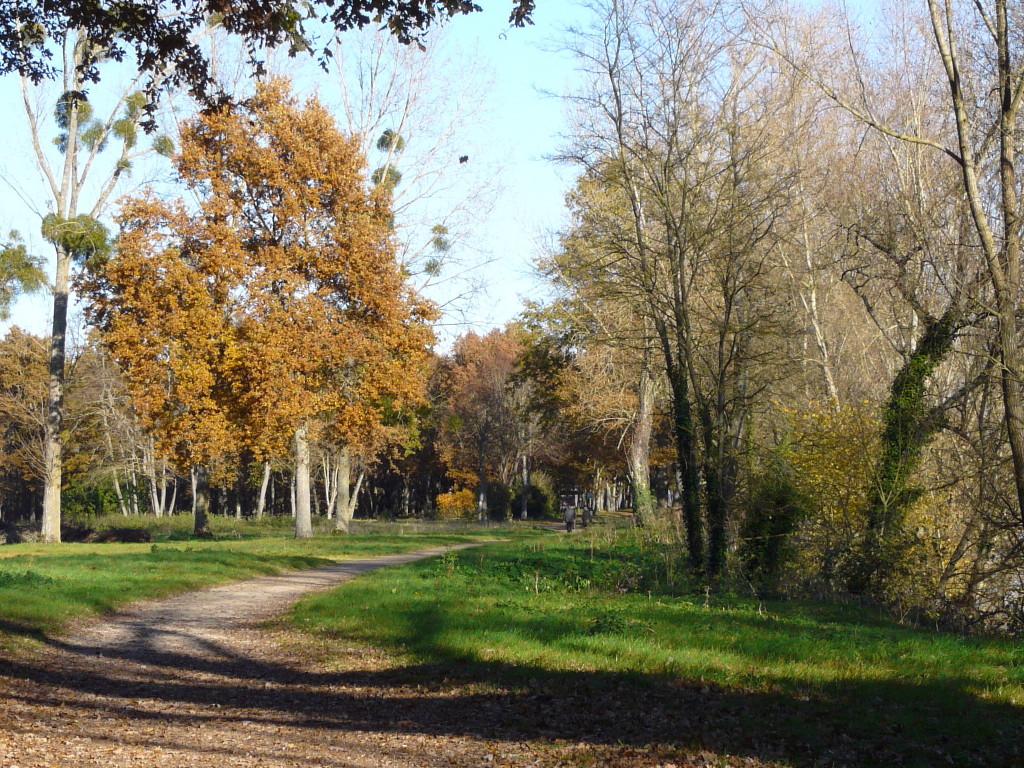Parc de l'île d'Or Parc de l'île d'Or