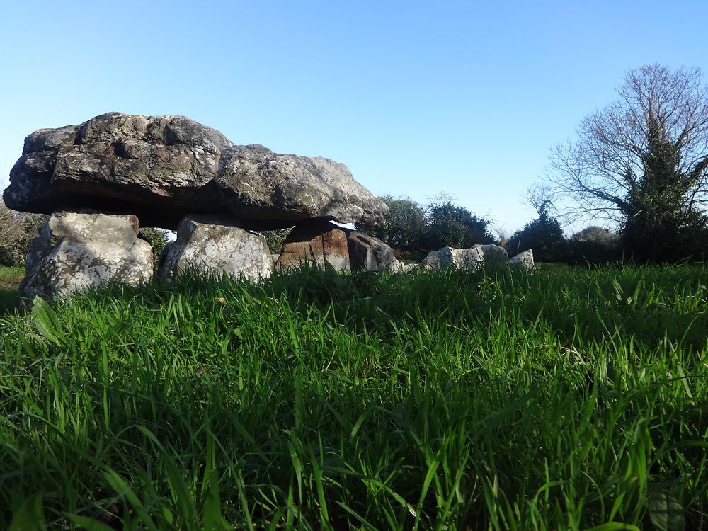 Pouquelaye de Faldouet à ras du sol