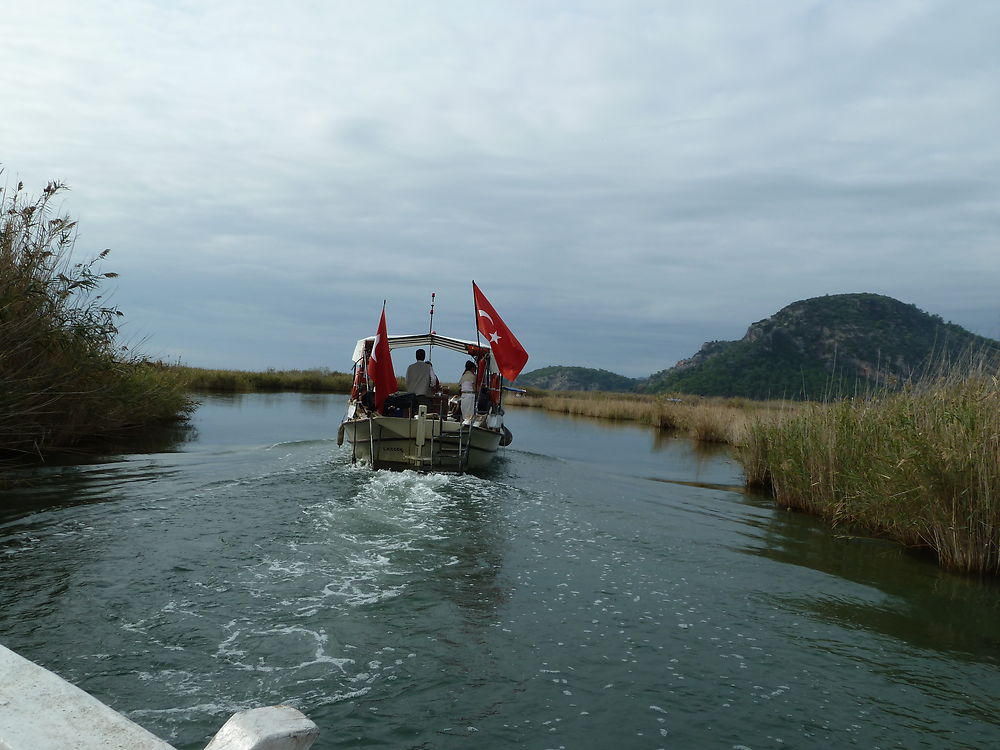 Roselières de Dalyan