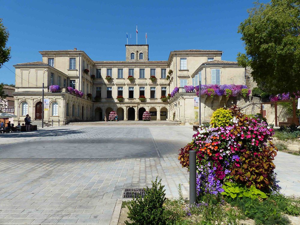 Château de Simiane - Valréas