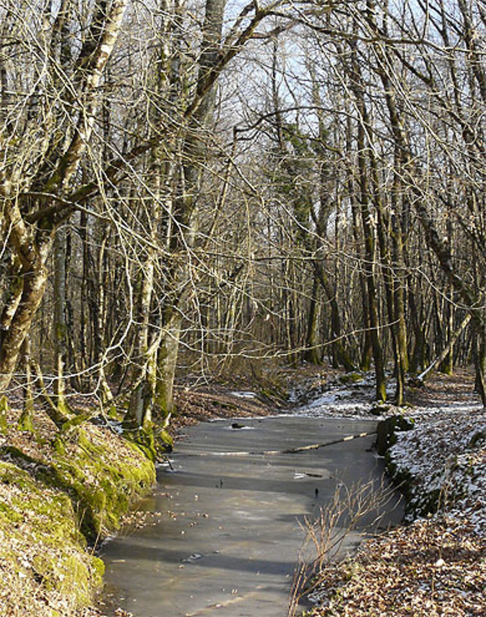 Parc de la Moutonnerie 