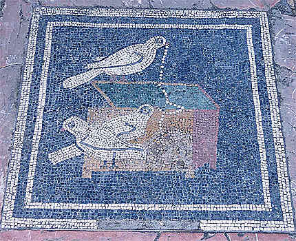 Pompeï mosaîque les oiseaux