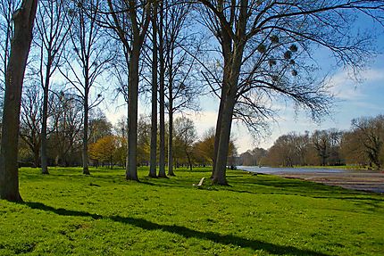 Parc du château de Chantilly
