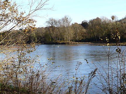 La Loire à l'automne