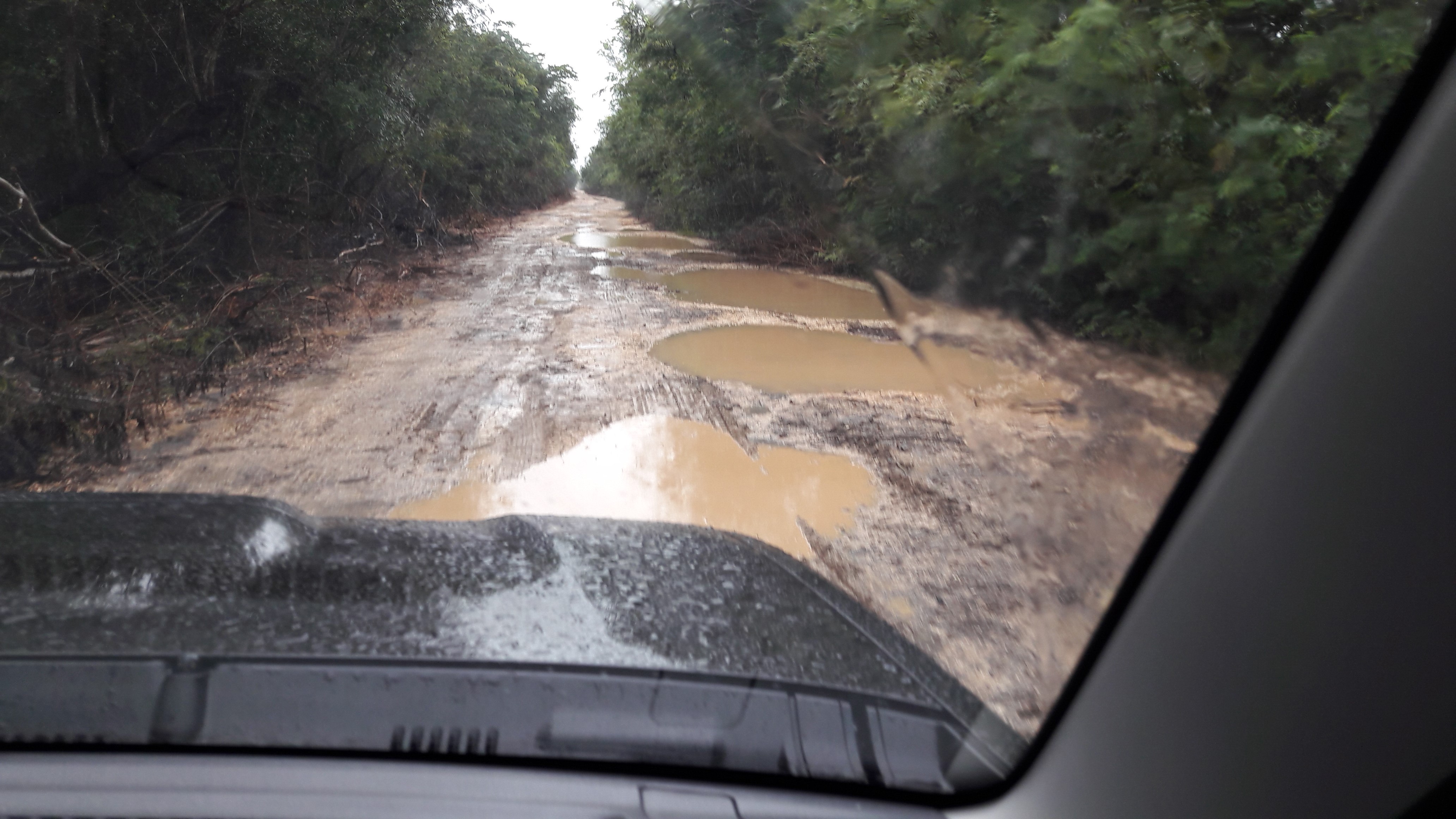 Après la pluie Après la pluie