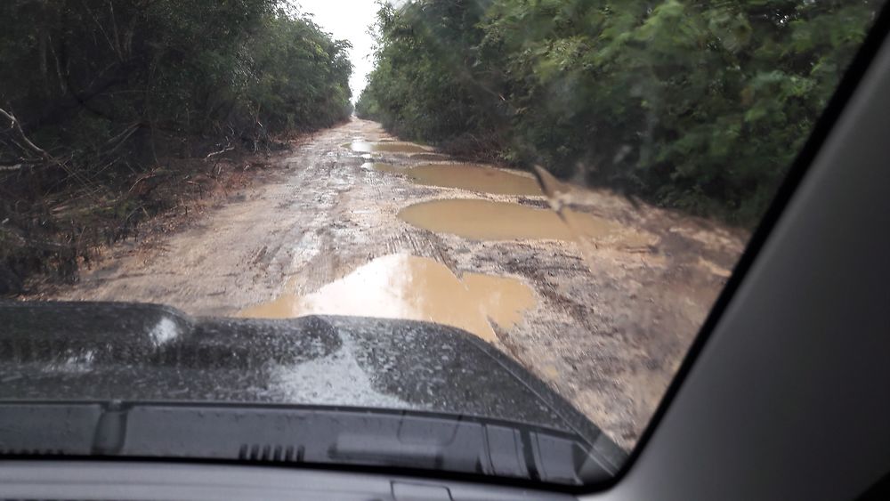 Après la pluie