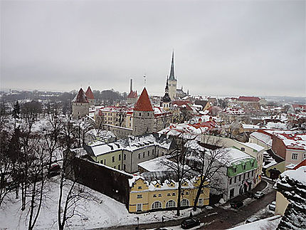 Tallinn Belvédères