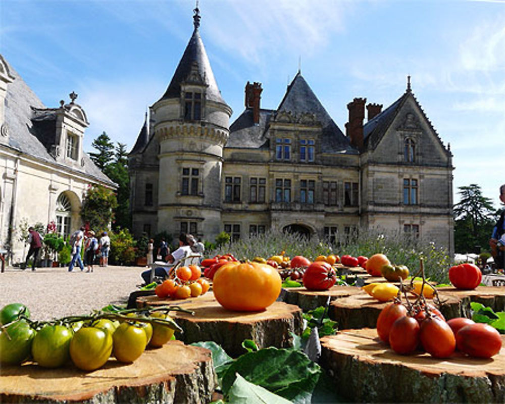 Fête de la tomate