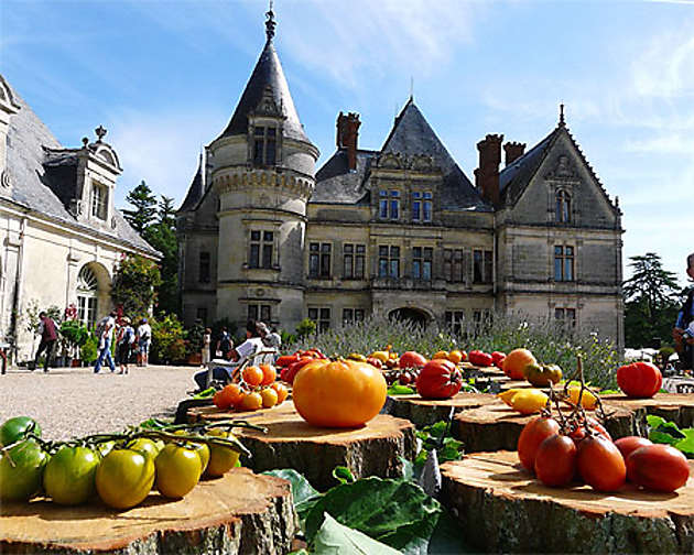 Conservatoire De La Tomate Chateau De La Bourdaisière