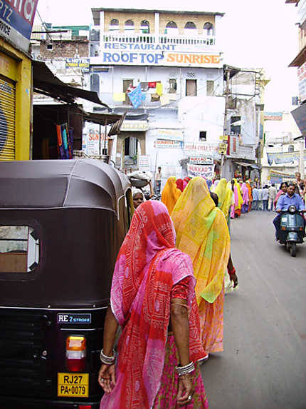 Saris d'Udaipur