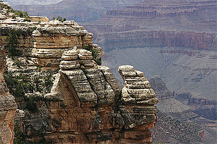 Les géants du Grand Canyon