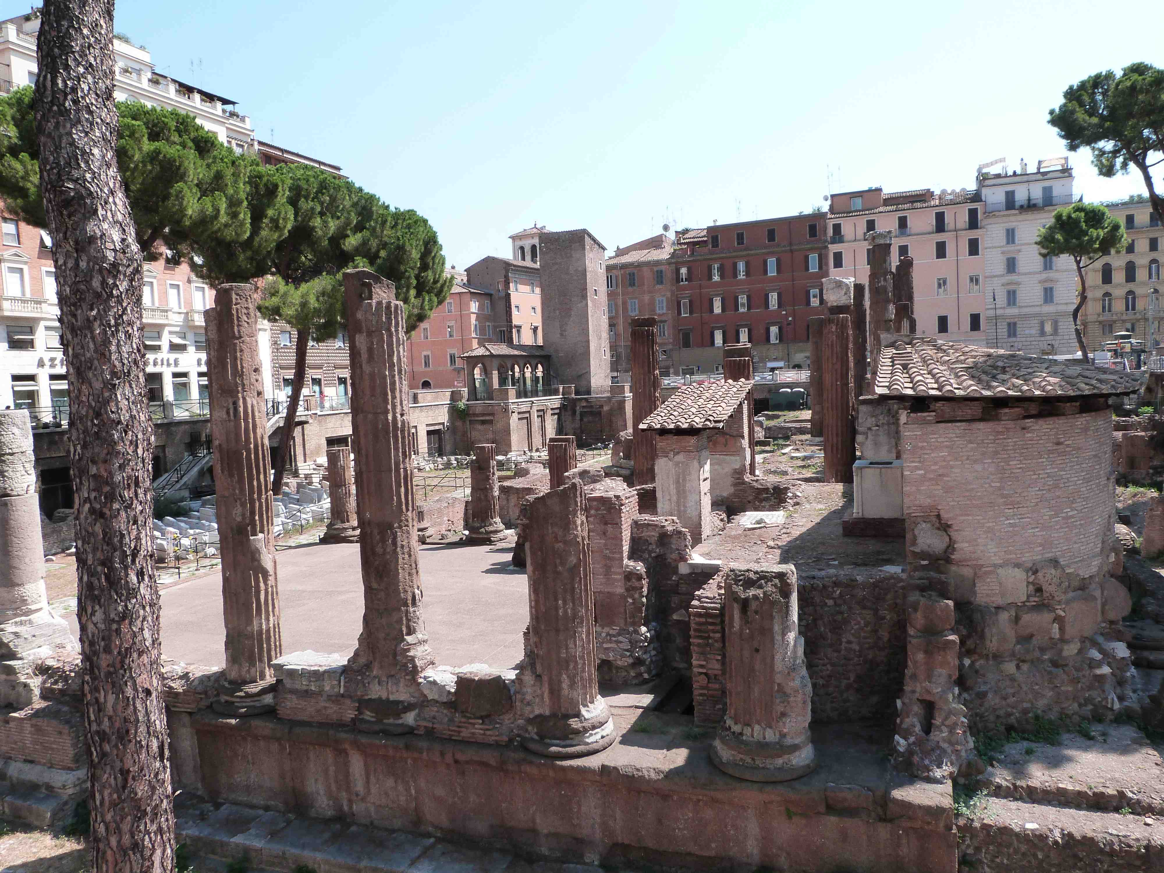 Area sacra de Largo Argentina Area sacra de Largo Argentina