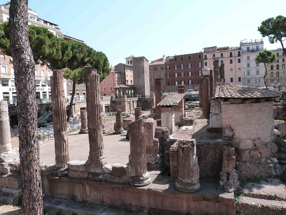 Area sacra de Largo Argentina