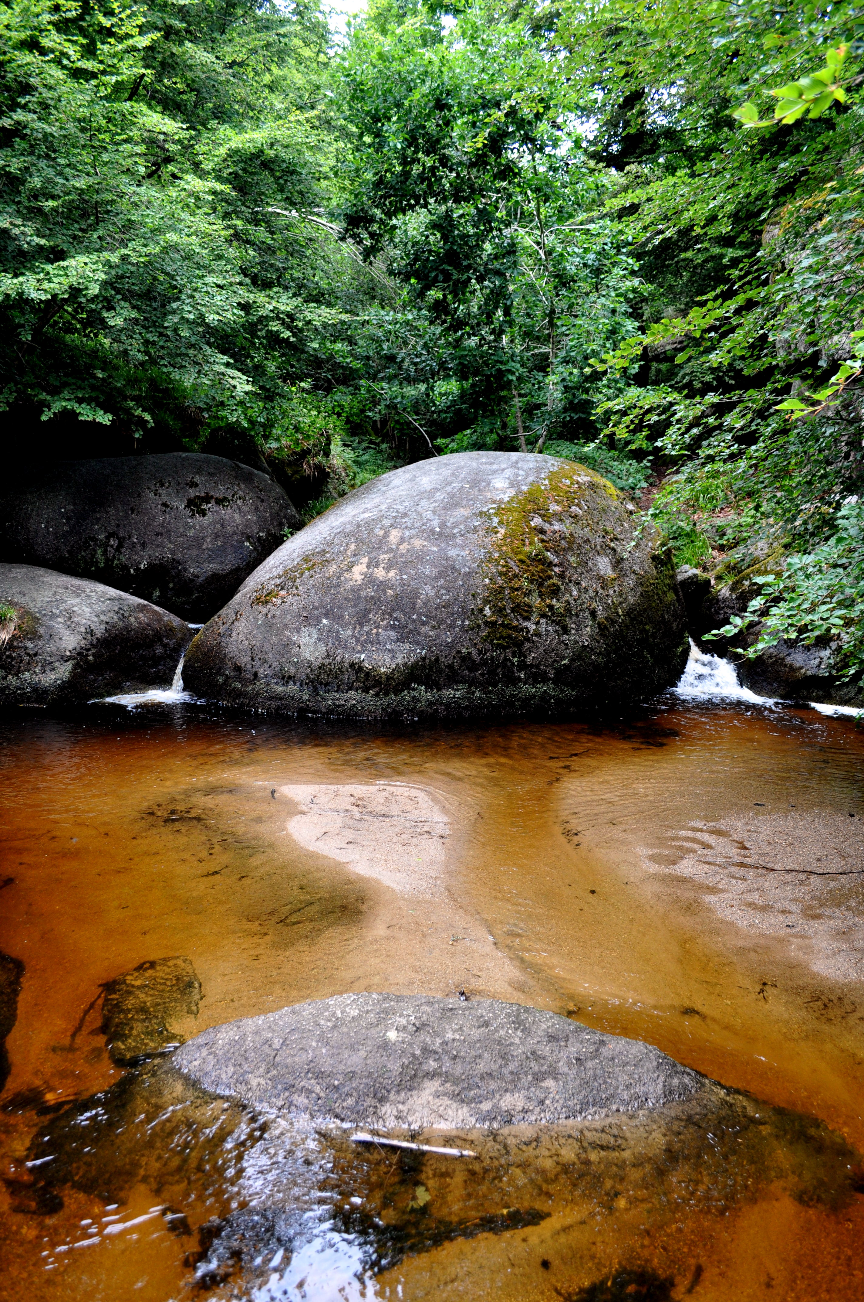 La mare aux fées La mare aux fées