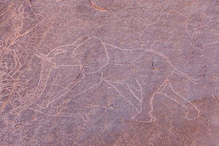 Tin Tabourak - Gravure rupestre, un éléphant