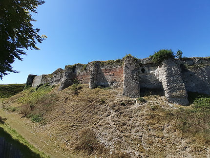 Les ruines du château d'Arc-la-Bataille 