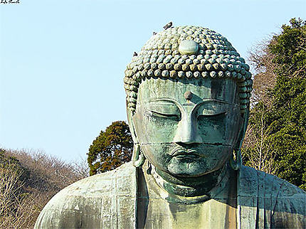 Le Daibutsu de Kamakura