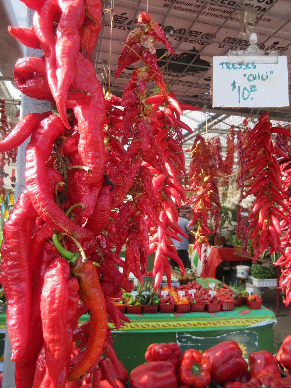 Marché Jean-Talon, Canada