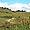 Balade champêtre, grasslands, du côté de Merritt