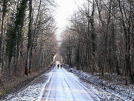 Parc de la Moutonnerie sous la neige