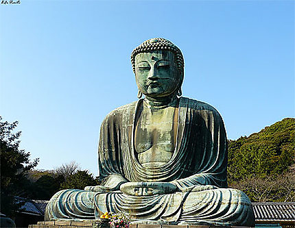 Le Daibutsu de Kamakura