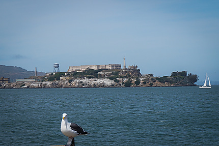Alcatraz : la prison mythique