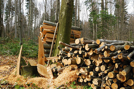 Stère de bois en Franche-Comté Stère de bois en Franche-Comté