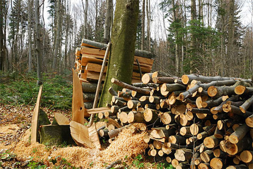Stère de bois en Franche-Comté