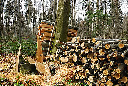 Stère de bois en Franche-Comté