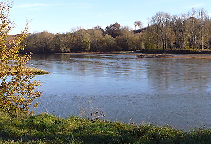 Loire au parc de l'île d'Or