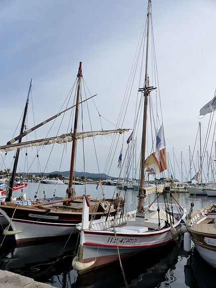 Le petit port de Sanary