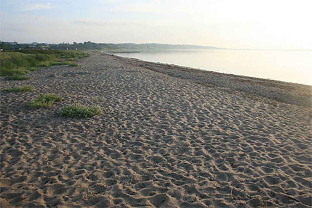 Plage de Brenderup