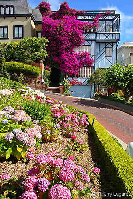 Lombard street