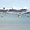 St Malo - Les paquebots et le p'tits bateaux