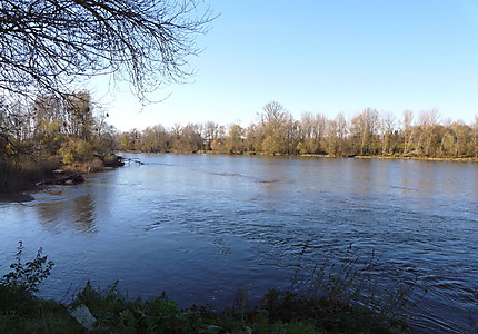 Le fleuve royal