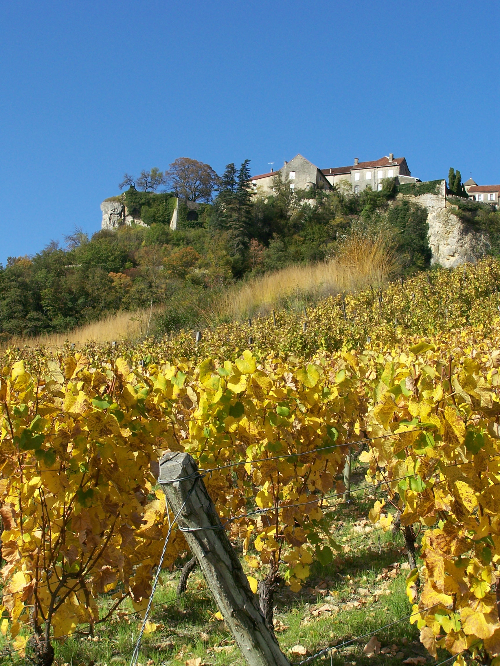 Château-Chalon Château-Chalon