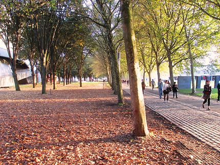 Parc de la Villette en automne