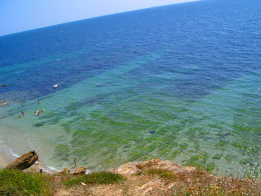 BRAS DE MER