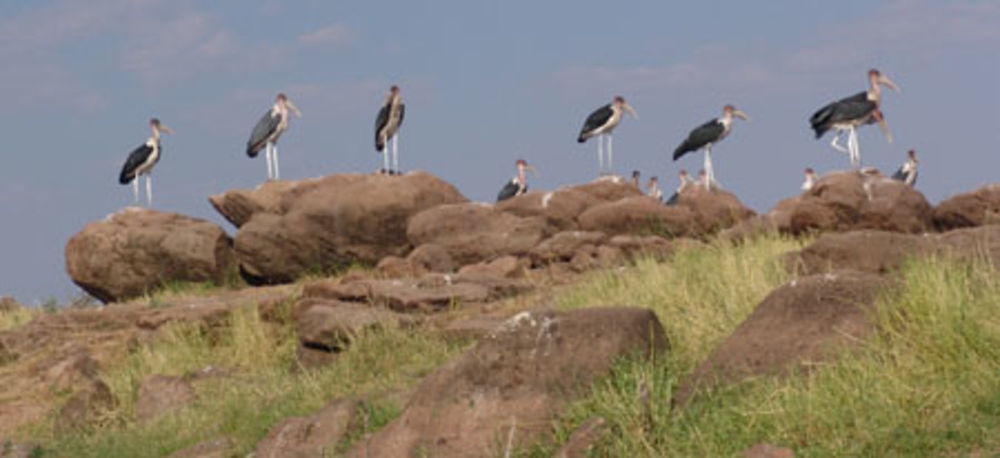 Lake Kariba