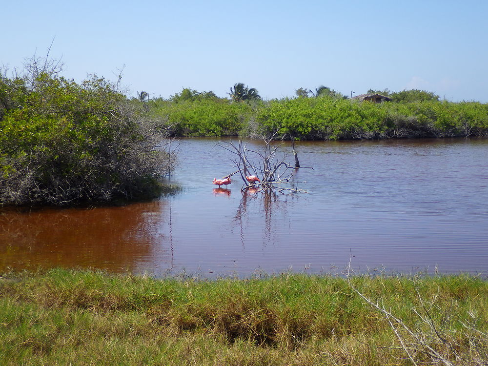 Centre de Crianza Arnaldo Tupiza