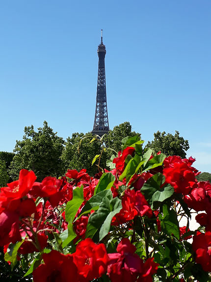 Paris Tour Eiffel après déconfinement