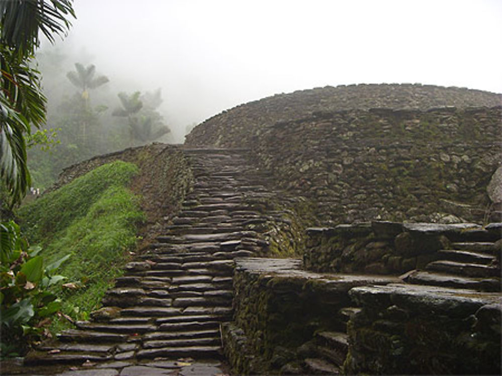 Ciudad Perdida