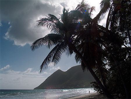 Plage du Diamant : Plages : Mer : Le Diamant : Côte-sous-le-vent